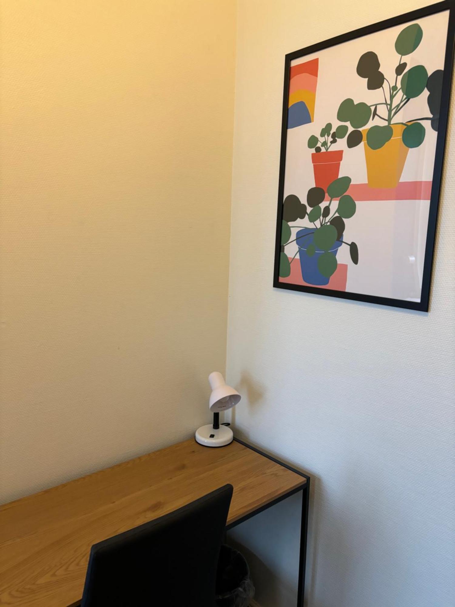 Danhostel Odense City المظهر الخارجي الصورة A Google Home Hub
